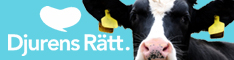 Djurens Rätt