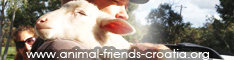 animal friends croatia