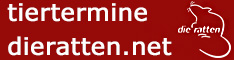 die ratten