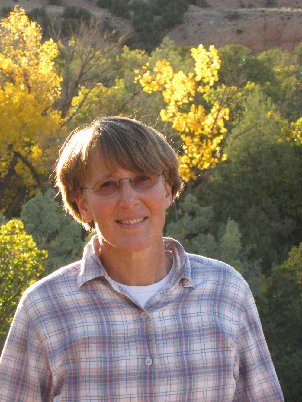 Lisa Kemmerer