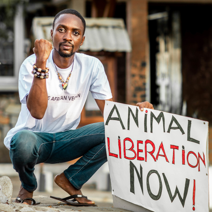 Doe Nyamadi (aka Tivai)